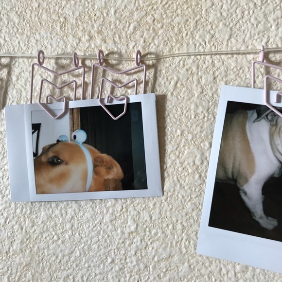Urban Outfitters Other - urban outfitters pastel pink photo clips